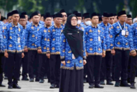 Potret Aparatur Sipil Negara (ASN) di lingkungan Pemprov DKI Jakarta. ANTARA/HO-Pemprov DKI Jakarta