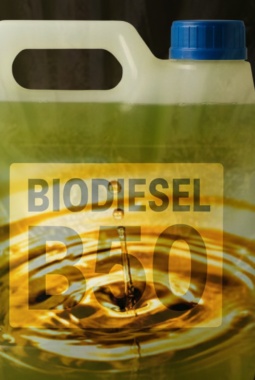 Mandat Biodiesel B50 Resmi Dibatalkan, Pemerintah Pilih Pertahankan B40 Demi Keamanan Mesin Industri