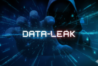 Data Leak