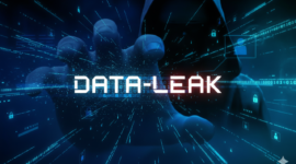 Data Leak