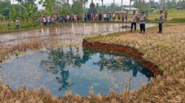 Fenomena Alam di Lima Puluh Kota: Munculnya Lubang Raksasa (Sinkhole) di Lahan Warga Gegerkan Masyarakat
