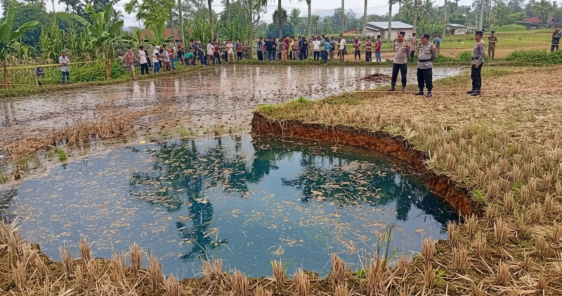 Fenomena Alam di Lima Puluh Kota: Munculnya Lubang Raksasa (Sinkhole) di Lahan Warga Gegerkan Masyarakat