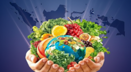 Hari Gizi Nasional ke-66 ( foto AI )