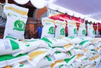 Penyaluran Bansos Beras Januari 2026