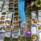 Foto Program Makan Bergizi Gratis Jadi Penyerap Utama 165 Juta Petani. Source: Liputan6.com