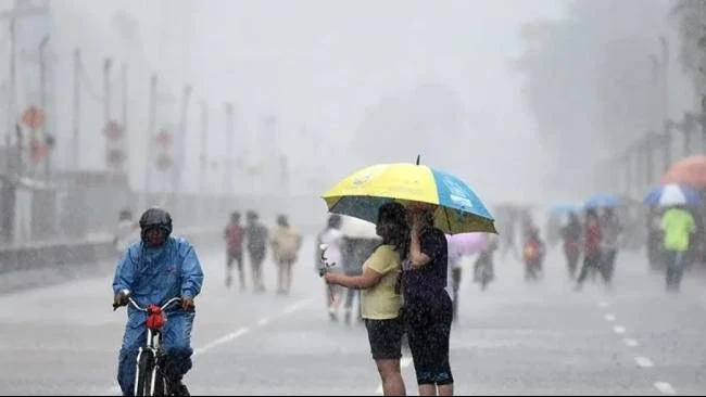 BMKG Keluarkan Peringatan Dini Cuaca Ekstrem, 7 Wilayah Ini Diterjang Hujan Lebat dan Angin Kencang. Source: Google/Kompas.tv