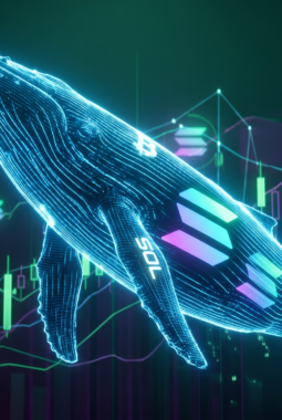Whale Crypto Serbu Solana: Amankan Aset atau Bull Run?