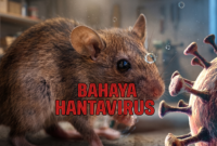 Ilustrasi Waspada Hantavirus. (Foto AI)