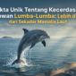 Ilustrasi  Fakta Unik Tentang Kecerdasan Hewan Lumba-Lumba(Foto AI)