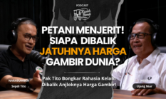 Gambir Revolution: Strategi Jitu Sumbar Menguasai Pasar Global!