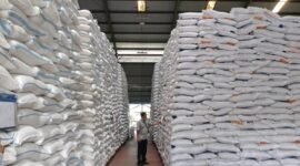 Stok Beras Nasional Capai 5,3 Juta Ton, Tertinggi dalam Sejarah 59 Tahun Perum Bulog. Source: Google/KabarBaik.co