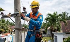 PLN Klaim Bahwa Listrik Padam yang Masih Terjadi di Beberapa Daerah di Sumbar Karena Pohon Tumbang