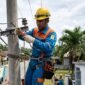 Ilustrasi: Petugas PLN tengah Bekerja