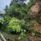 Foto: Kondisi material tanah menutupi jalan lintas Padang–Bukittinggi di kawasan Lembah Anai, dekat Jembatan Kembar, Padang Panjang. Peristiwa yang terjadi pada Rabu (24/6/2026)