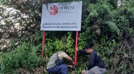 Foto: Pemasangan Kamera Trap oleh BKSDA (Dok. BKSDA Kab. Agam)