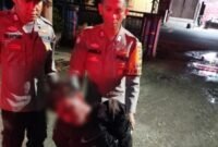 Foto: Personil piket Polsek Harau saat mengamankan terduga pelaku pencurian di Jorong Simpang Ampek, Nagari Koto Tuo, Kecamatan Harau, Kabupaten Lima Puluh Kota, Rabu malam, 24 Juni 2026 (Dok. Polsek Harau)