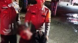 Foto: Personil piket Polsek Harau saat mengamankan terduga pelaku pencurian di Jorong Simpang Ampek, Nagari Koto Tuo, Kecamatan Harau, Kabupaten Lima Puluh Kota, Rabu malam, 24 Juni 2026 (Dok. Polsek Harau)