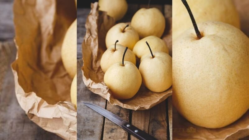Foto: Buah Pir (Pin. Hiroshi_D)