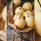 Foto: Buah Pir (Pin. Hiroshi_D)