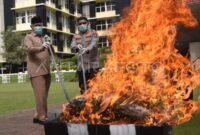 Polda Sumbar Musnahkan 124 Kg Ganja dan 1,46 Kg Sabu. (Foto: Dok. ANTARA)