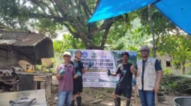 UNAND Dorong Pengolahan Gambir Ramah Lingkungan di Pessel. (Foto: Dok. ANTARA)