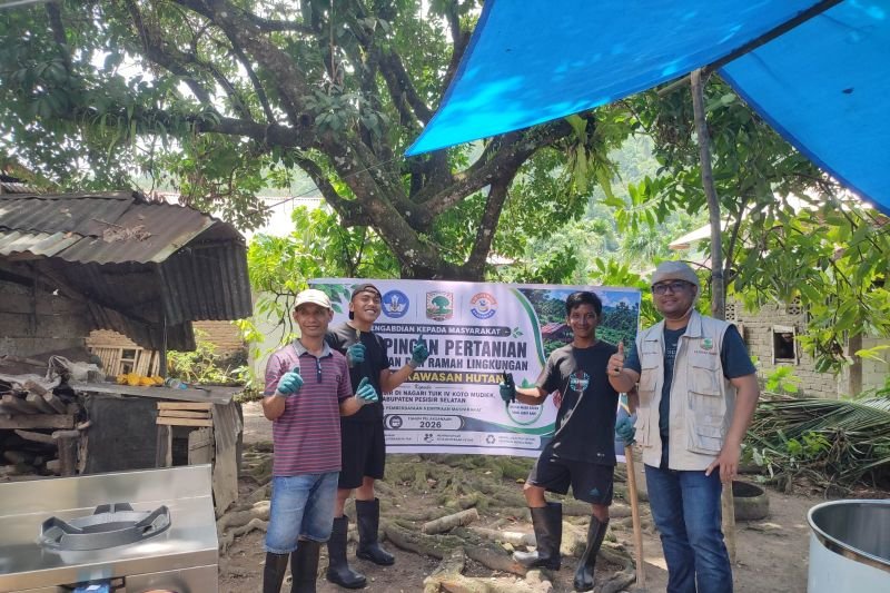 UNAND Dorong Pengolahan Gambir Ramah Lingkungan di Pessel. (Foto: Dok. ANTARA)