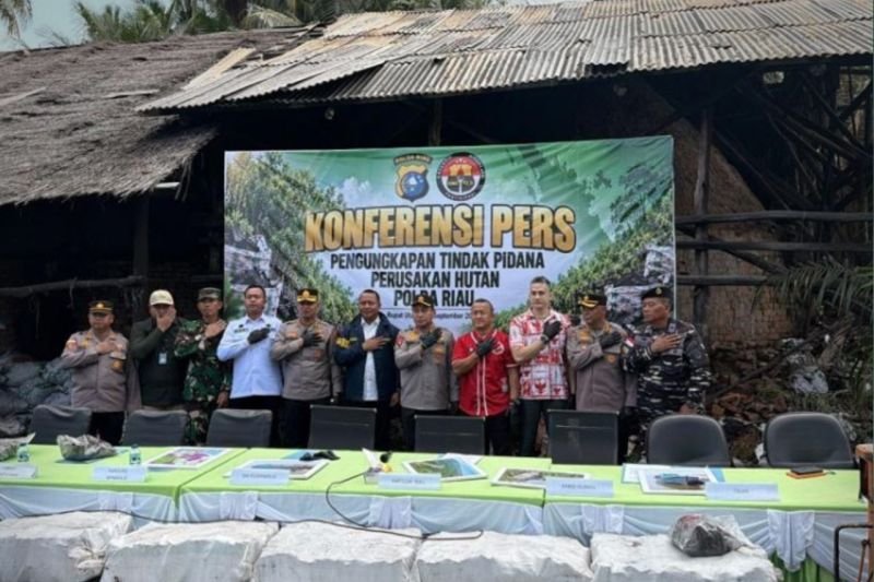 Polda Riau Bongkar 140 Ton Arang Bakau Ilegal ke Malaysia. (Foto: Dok. ANTARA)