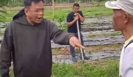 Suasana tanah ulayat yang disengketakan di Nagari Batu Balang, Kecamatan Harau, Kabupaten Lima Puluh Kota