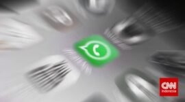 WhatsApp Uji Fitur Label Chat Penipuan, Begini Cara Kerjanya. (Foto: CNN Indonesia)