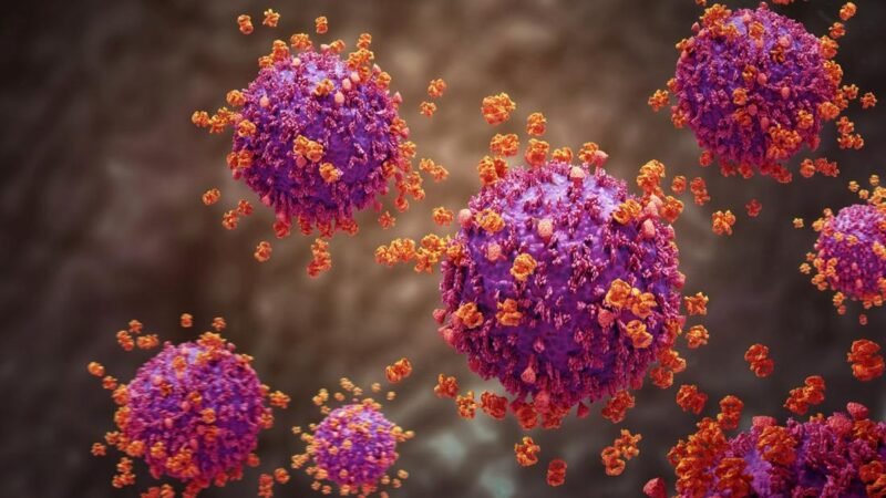 Beda Influenza A dan Flu Biasa, Kenali Gejalanya. (Foto: CNN Indonesia)