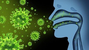 Pakar UGM Bagikan Cara Cegah Penularan Influenza A. (Foto: CNN Indonesia)