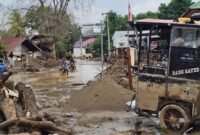 Banjir Rendam 4 Desa di Aceh Selatan, Sawah Petani Terendam. (Foto: Dok. CNN Indonesia)