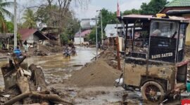 Banjir Rendam 4 Desa di Aceh Selatan, Sawah Petani Terendam. (Foto: Dok. CNN Indonesia)