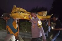 Empat Relawan Karhutla Bromo Meninggal, Dua Luka Berat. (Foto: iNews.id)