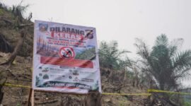Polisi memasang garis polisi dan plang larangan di lahan bekas karhutla Dharmasraya. (Foto: Kompas.com)
