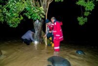 Banjir Padang: 2 Kecamatan Terendam, 500 Personel Dikerahkan. (Foto: iNews.id)