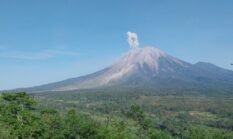 Gunung Semeru Erupsi, Kolom Abu Capai 800 Meter
