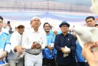 Hari Desa 2027, Mendes Yandri Targetkan UMKM Desa Bangkit. (Foto: Tribunnews)