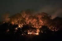BNPB: 462 Hektare Lahan di 10 Provinsi Masih Terbakar. (Foto: CNN Indonesia)