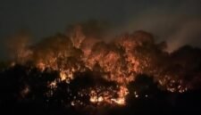BNPB: 462 Hektare Lahan di 10 Provinsi Masih Terbakar. (Foto: CNN Indonesia)