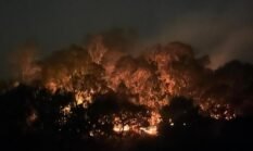 BNPB: 462 Hektare Lahan di 10 Provinsi Masih Terbakar