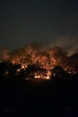 BNPB: 462 Hektare Lahan di 10 Provinsi Masih Terbakar