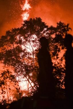Karhutla TN Berbak Sembilang Jambi Terus Meluas